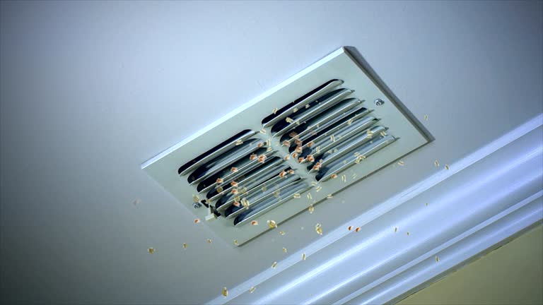 Best Affordable Air Duct Cleaning  in Redwood, TX